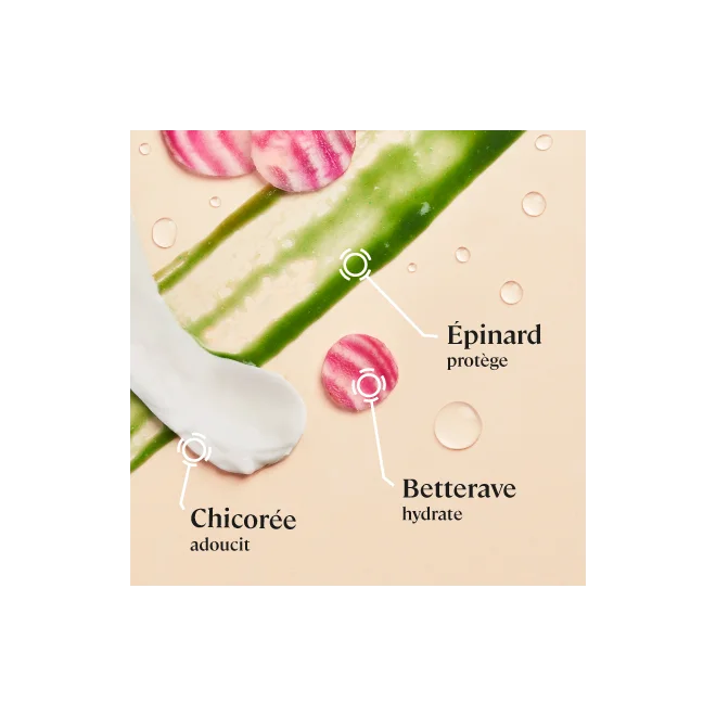 Actifs de la crème visage BIO Cultiv Actifs de la crème visage BIO Cultiv