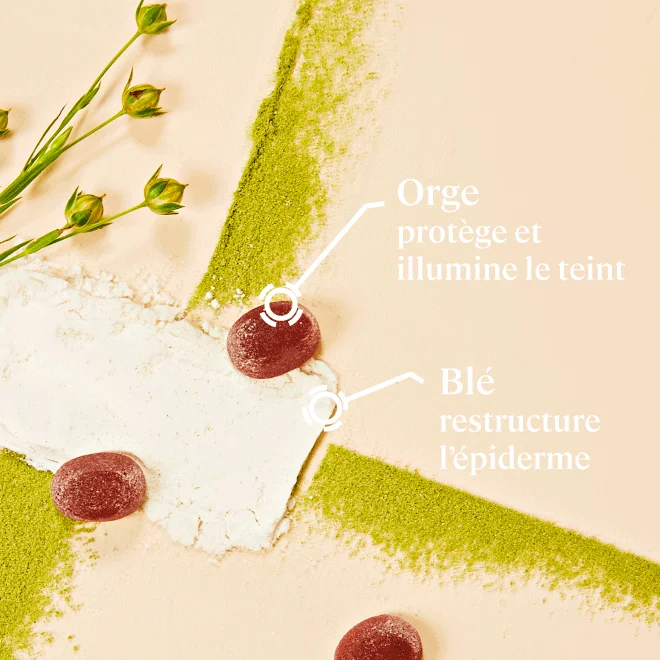 Actifs des gummies fermeté BIO Actifs des gummies fermeté BIO