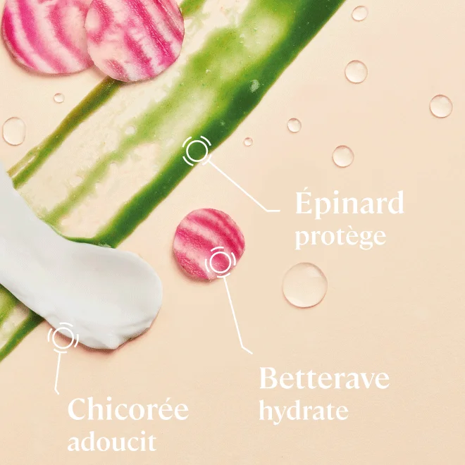 Actifs de la crème visage BIO Cultiv Actifs de la crème visage BIO Cultiv