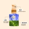 Actifs sérum anti-âge bio Cultiv Actifs sérum anti-âge bio Cultiv