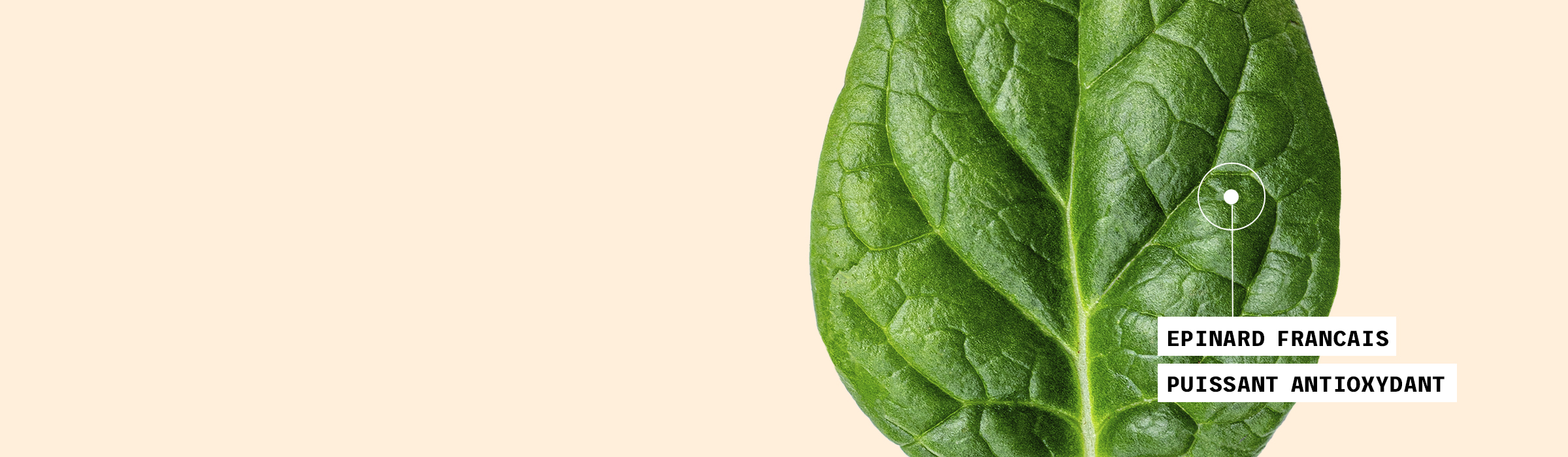 Slide background