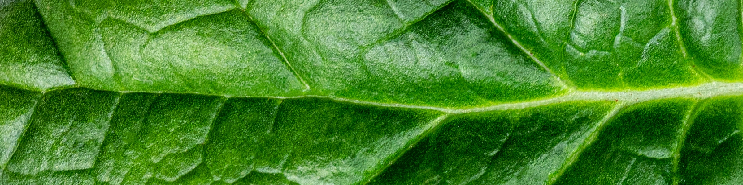 Slide background