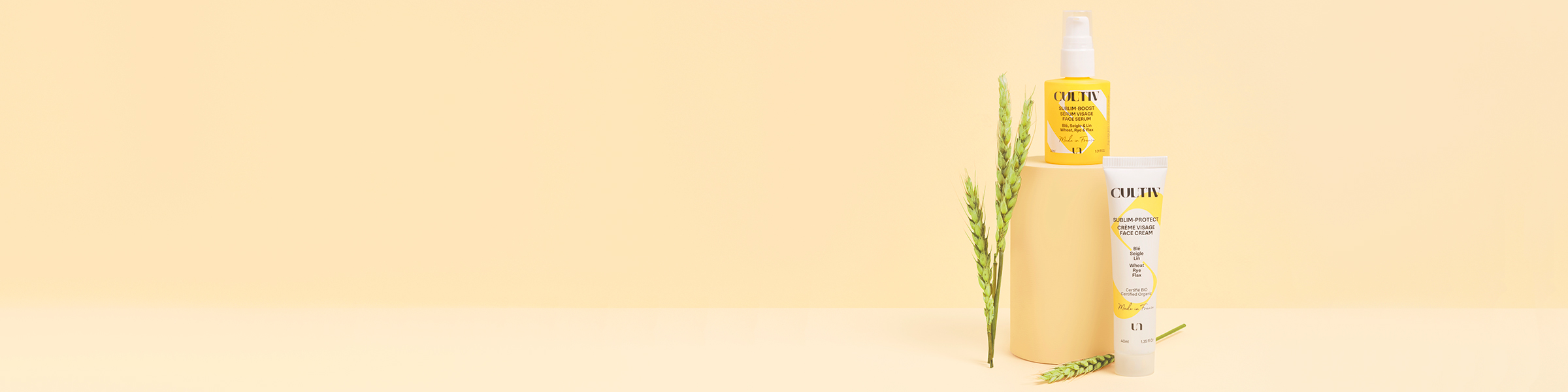 Slide background