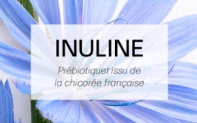 Routine beauté clean : découvrez l’inuline, le prébiotique star
